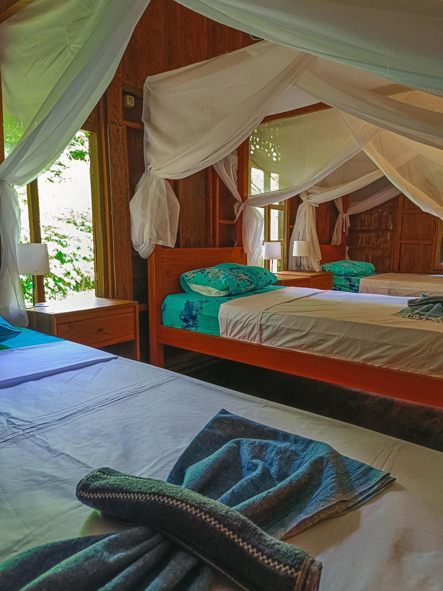 Alaya Ecolodge 페무테란 외부 사진