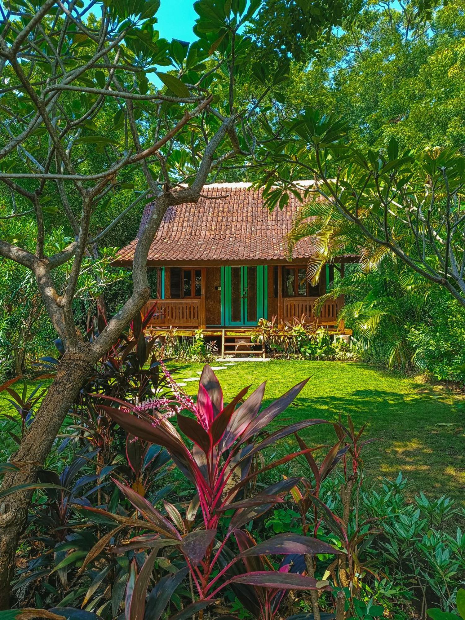 Alaya Ecolodge 페무테란 외부 사진