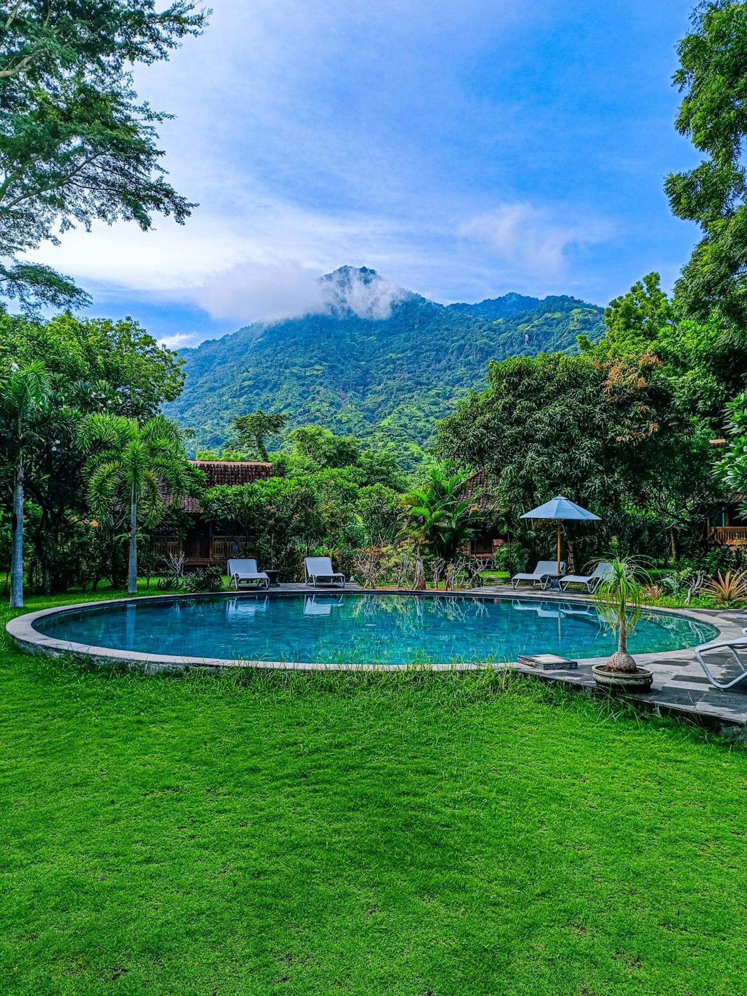 Alaya Ecolodge 페무테란 외부 사진