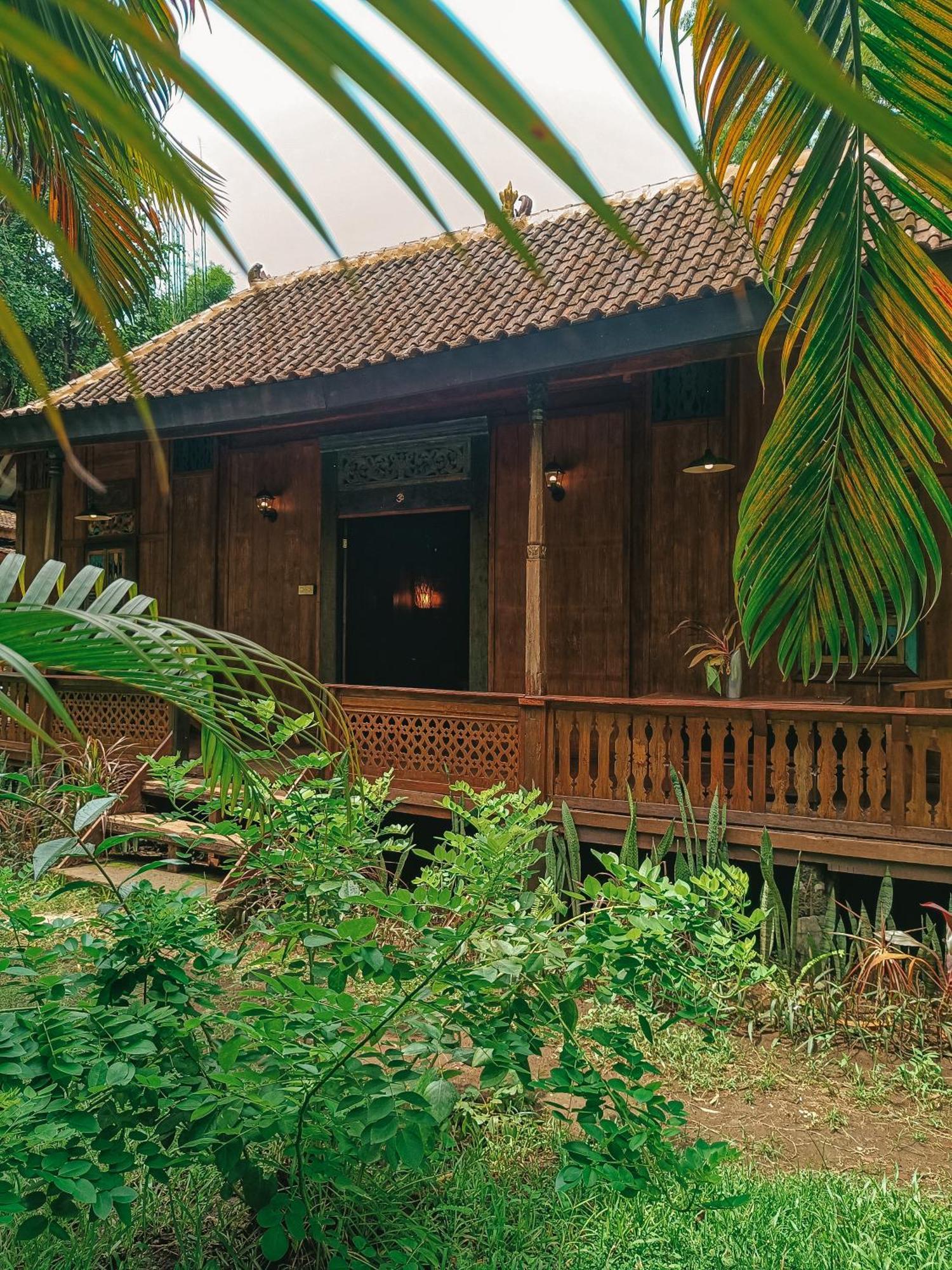 Alaya Ecolodge 페무테란 외부 사진