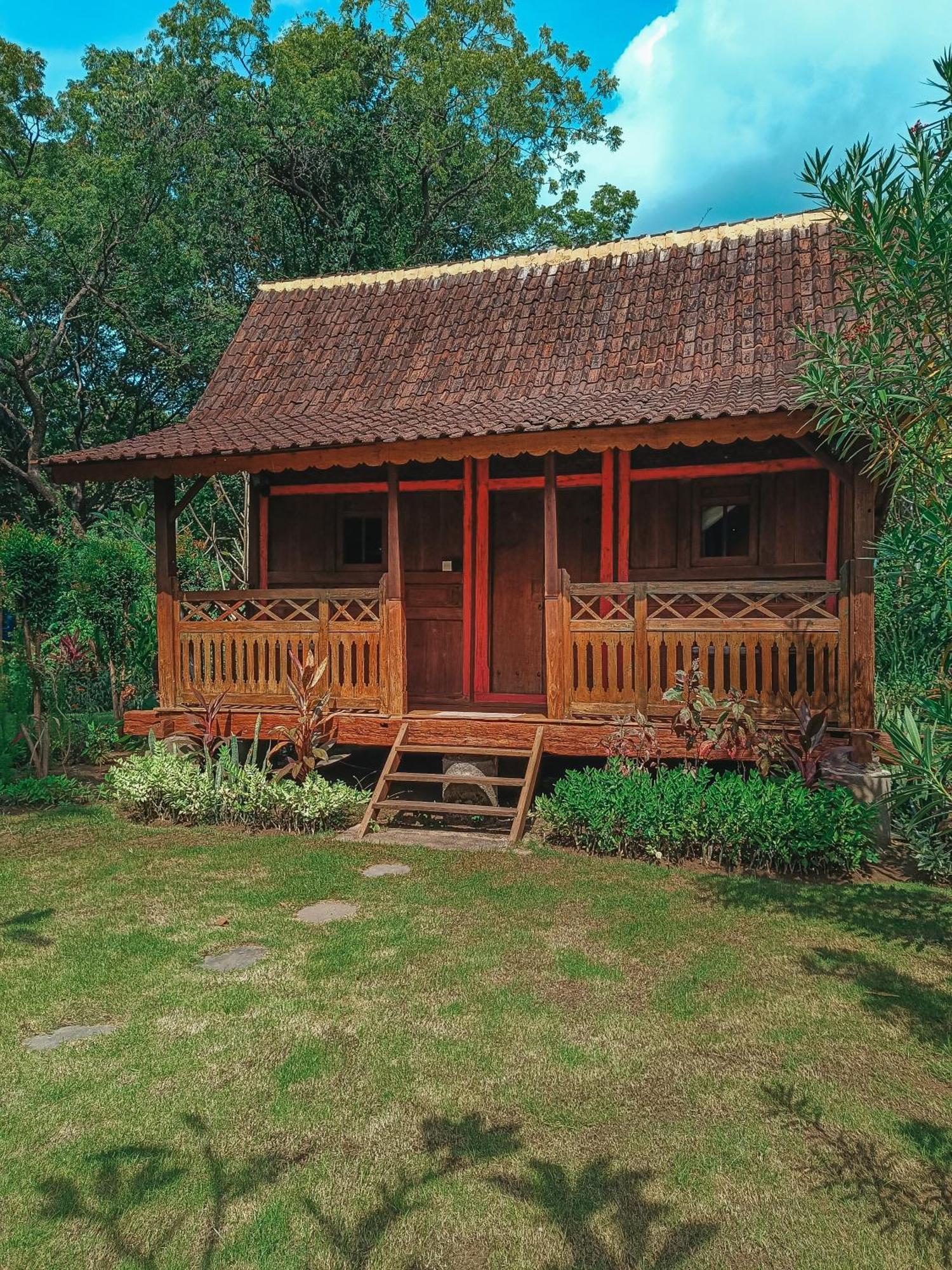 Alaya Ecolodge 페무테란 외부 사진